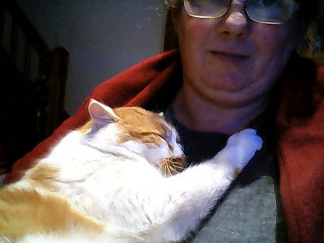 Marlou Le ChaT participe au concours pour gagner de l'argent avec cette photo : aegean_cat, carnivoran, cat, cat_like_mammal, domestic_short_haired_cat, ear, fur, kitten, mammal, nose, person, small_to_medium_sized_cats, snout, vertebrate, whiskers