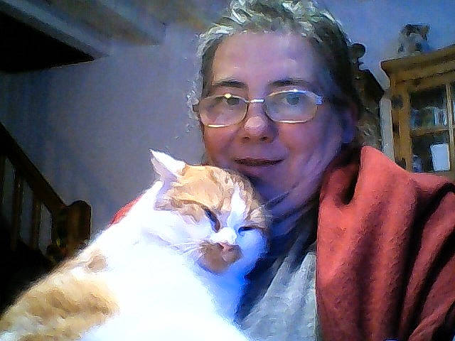 Marlou a rejoint le concours — aidez-le/la à gagner de superbes lots ! aegean_cat, asian, carnivore, cat, domestic_short_haired_cat, ear, eye, felidae, fur, glasses, person, small_to_medium_sized_cats, whiskers