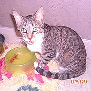 Ethanol participe au concours pour gagner de l'argent avec cette photo :