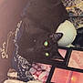 black_cat, cat, plush_toy, raccoon_toy, necklace, framed_photos, sunset_photo, pink_background, decorative_items, wood_surface, indoor, pet, animal, reflection, cluttered, cozy, feline, flash_reflection, eyes, resting