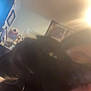 Lil C joined the competition — help win amazing prizes! cat, black_cat, person, indoor, close_up, blurry, face, light, lens_flare, wall_decor, curtains, collar, pet, feline, nuzzling, human, cozy, room, blur, soft_light