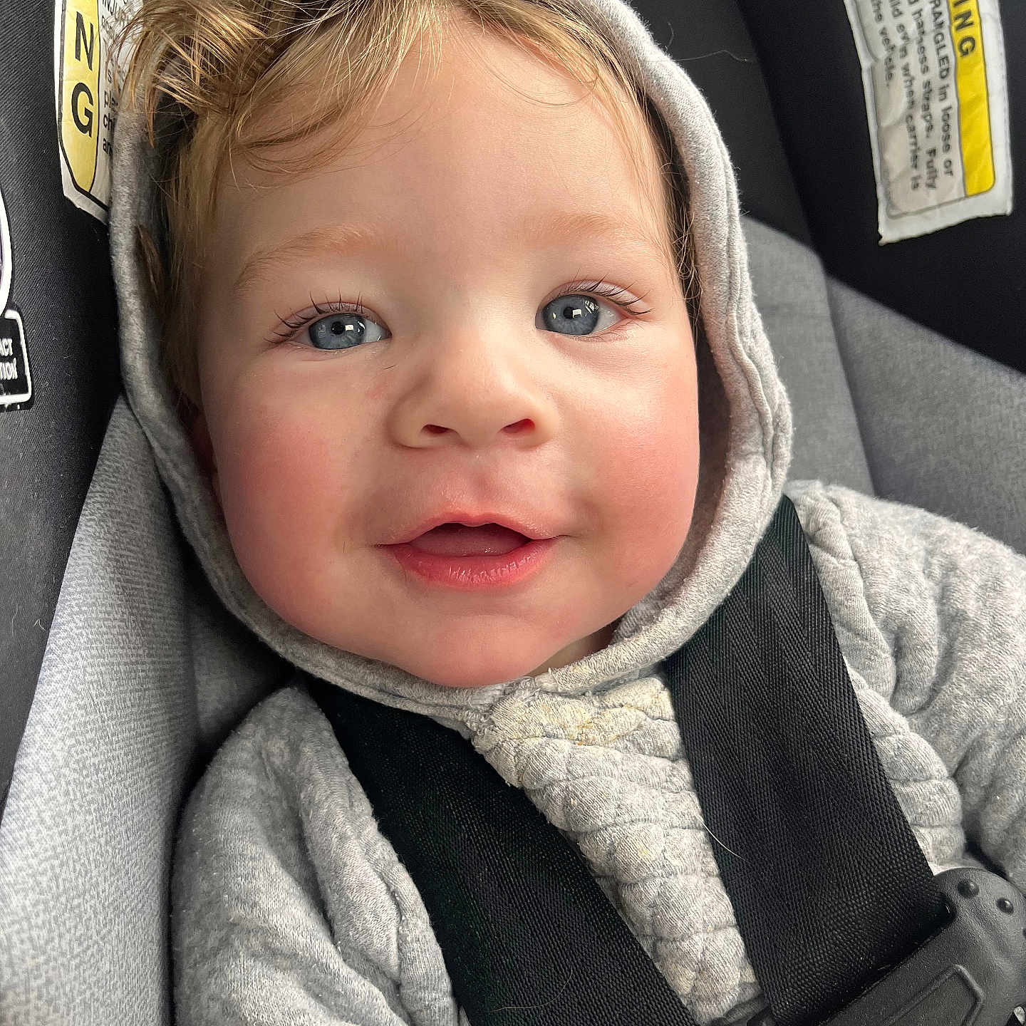 Daxton is registered to the contest to win money with this photo: accessories, baby, belt, clothing, coat, face, happy, hat, head, hood, hoodie, jacket, knitwear, pants, person, photography, portrait, smile, sweater, sweatshirt