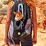 dog, backpack, person, hiking, outdoor, rocky, desert, shorts, tank_top, bracelets, animal, pet, summer, nature, walking, daytime, ears, head, travel, adventure