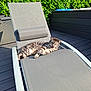animal, cat, chaise_lounge, comfortable, daylight, deck, domestic_animal, feline, gray, greenery, hedge, lounging, nature, outdoor, pet, relaxing, resting, summer, sunlight, tabby