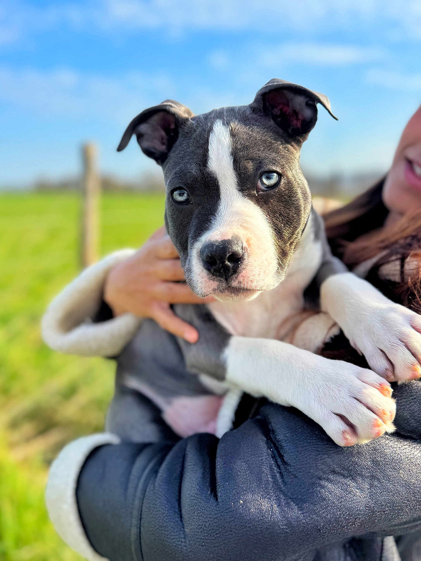 Arkos participe au concours pour gagner de l'argent avec cette photo : dog, puppy, blue_eyes, close_up, portrait, outdoors, field, grass, sky, person, arms, jacket, fur, paws, nose, ears, sunlight, bokeh, holding, cute