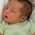 Jax P.