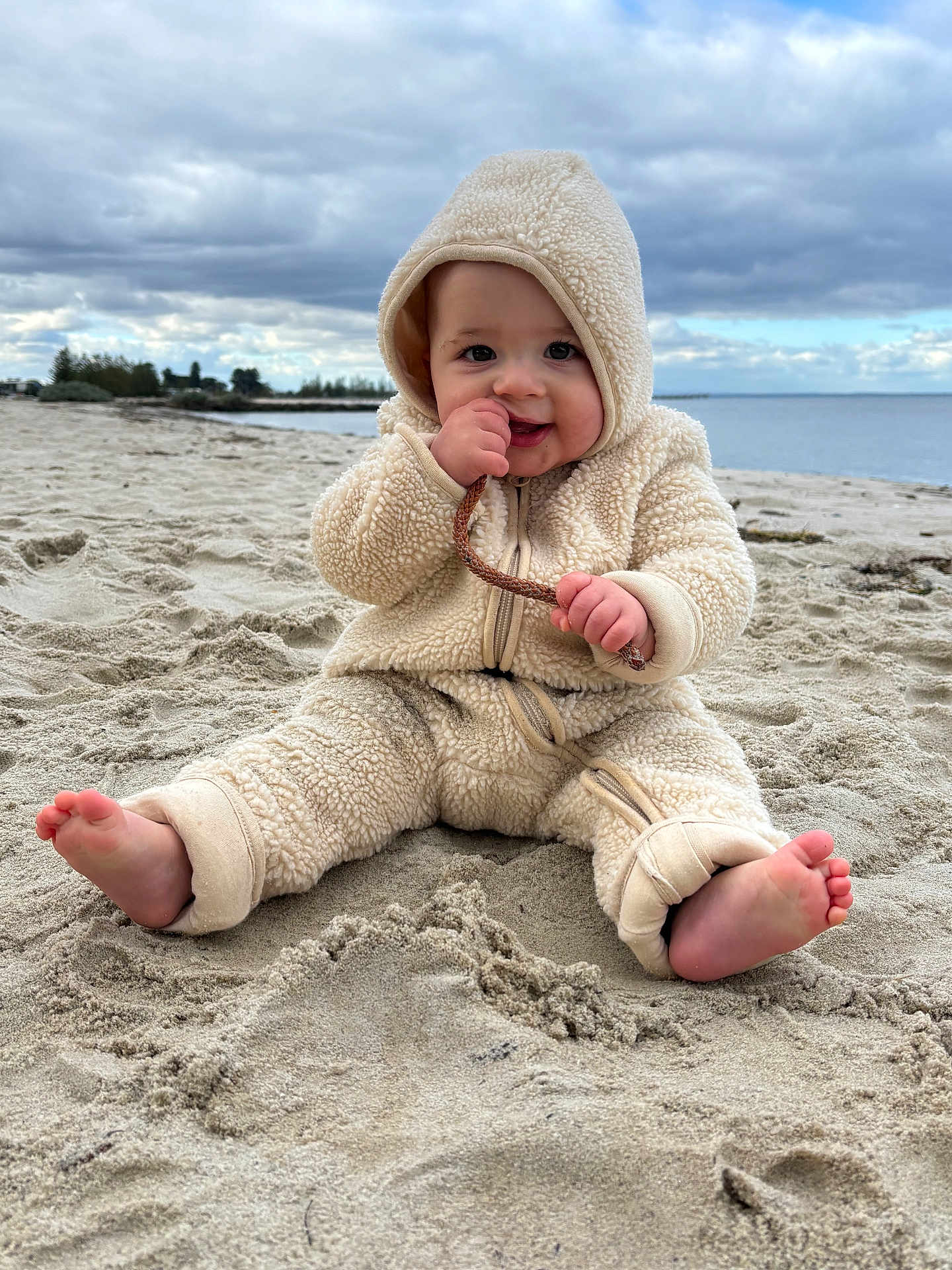Harrison