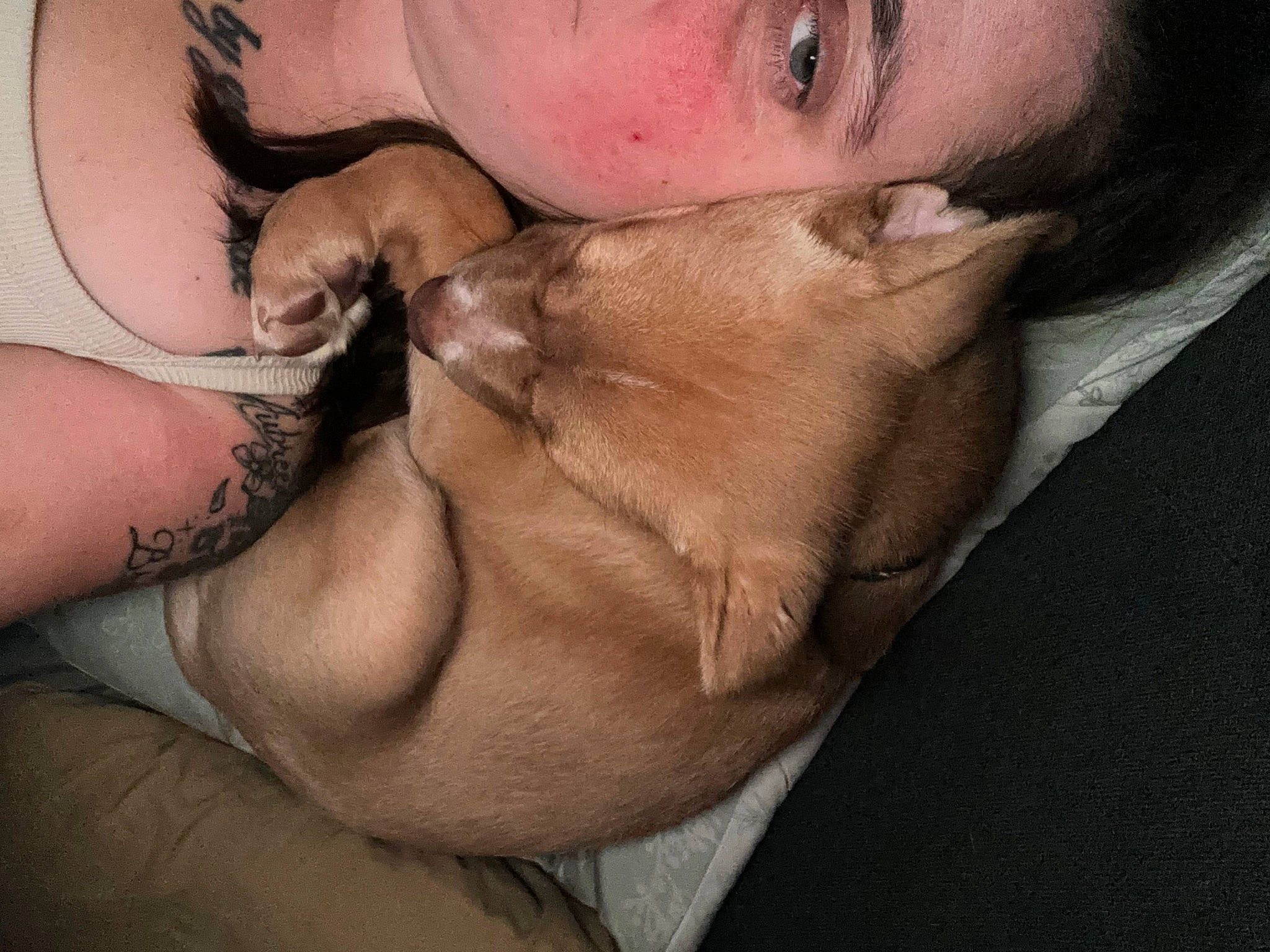 Sativa is registered to the contest to win money with this photo: beard, carnivore, comfort, dog, ear, eyelash, facial_hair, fawn, foot, gesture, hair, hand, human_body, jaw, leg, mouth, neck, nose, skin, trunk