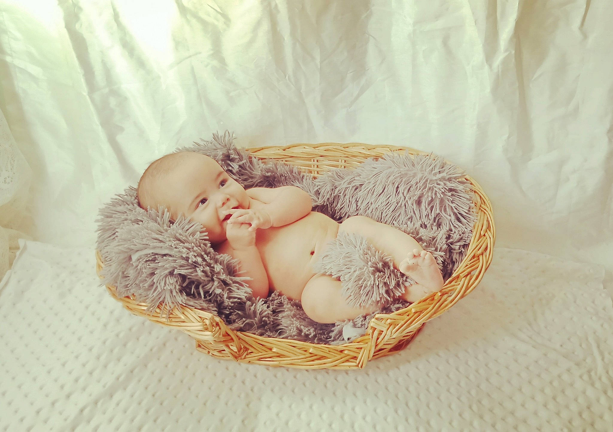Kenai joined the competition — help win amazing prizes! baby, baby_sleeping, basket, bird_nest, child, egg, joy, nest, person, product, wicker