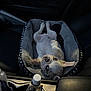 dog, puppy, bulldog, pet_bed, car_interior, cupholder, water_bottle, seat, leather_seat, cozy, sleeping, upside_down, paw, cute, portrait, soft_bed, center_console, low_light, travel, car_trip