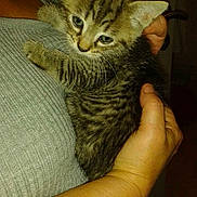 Guizmo participe au concours pour gagner de l'argent avec cette photo :