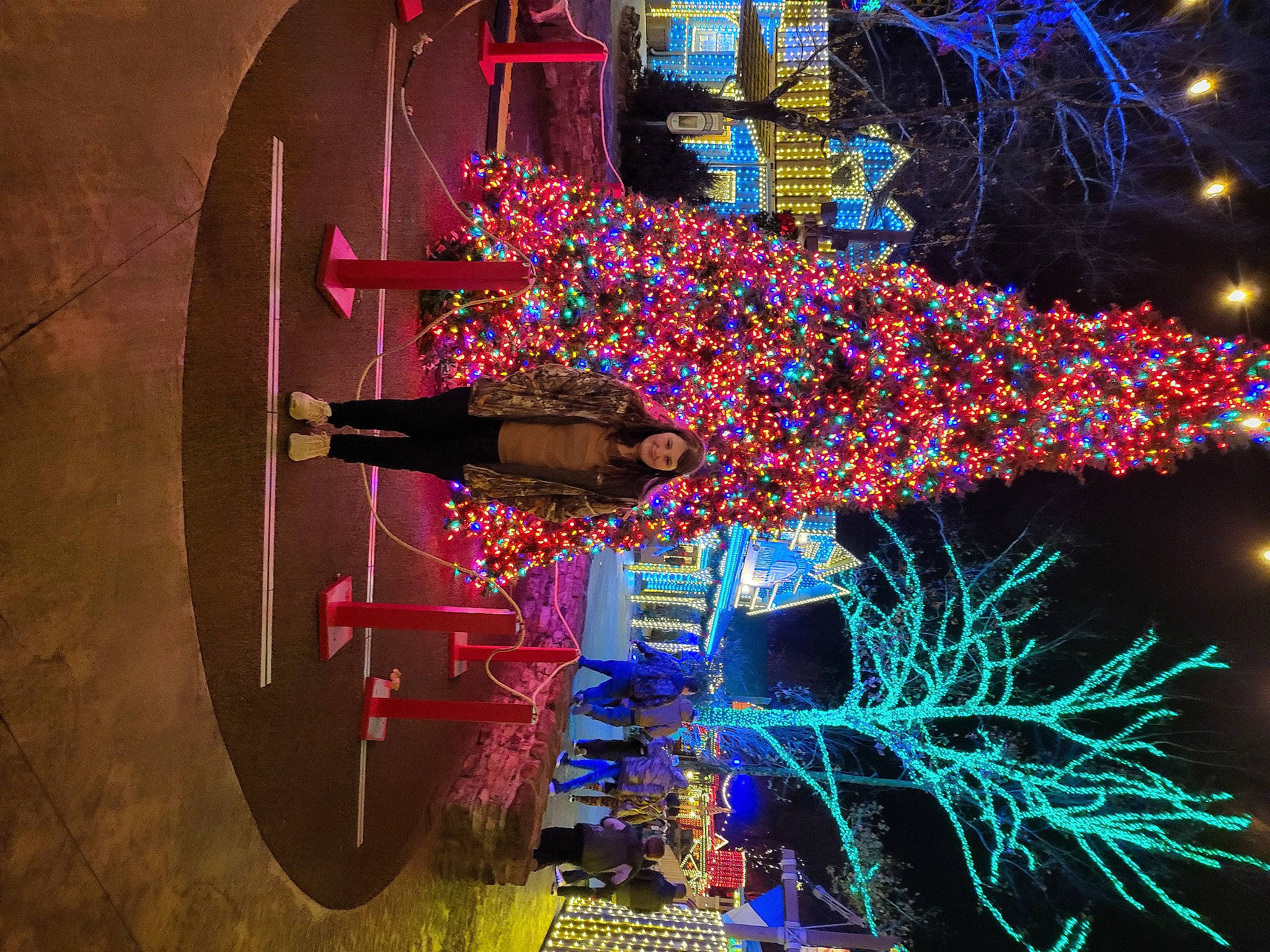 Sequoia joined the competition — help win amazing prizes! art, christmas_decoration, christmas_tree, city, darkness, design, electric_blue, electricity, event, holiday, joy, light, magenta, midnight, ornament, person, pink, plant, purple, space