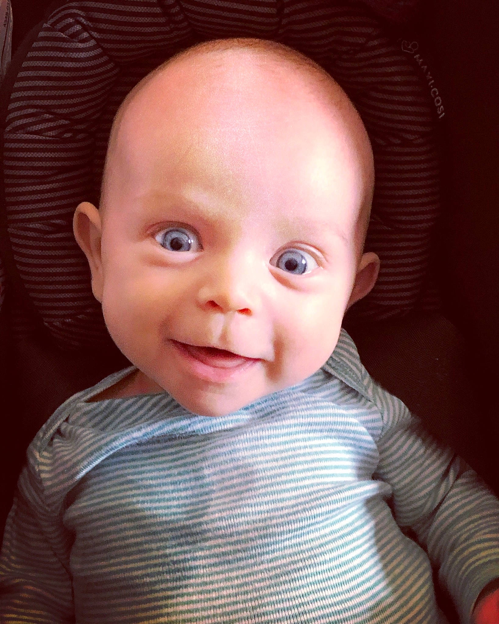 Cole joined the competition — help win amazing prizes! baby, baby_making_funny_faces, beauty, cheek, child, chin, eye, eyebrow, face, facial_expression, forehead, head, iris, lip, mouth, nose, person, portrait_photography, skin, smile