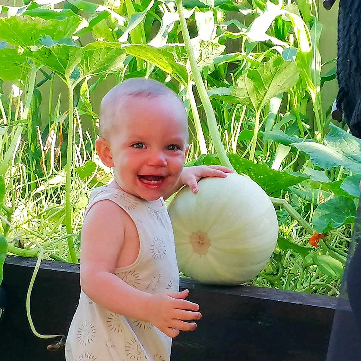 Casper is registered to the contest to win money with this photo: baby, face, food, grass, head, herbal, herbs, jar, leaf, person, photography, plant, planter, portrait, pottedplant, pottery, produce, squash, vase, vegetable