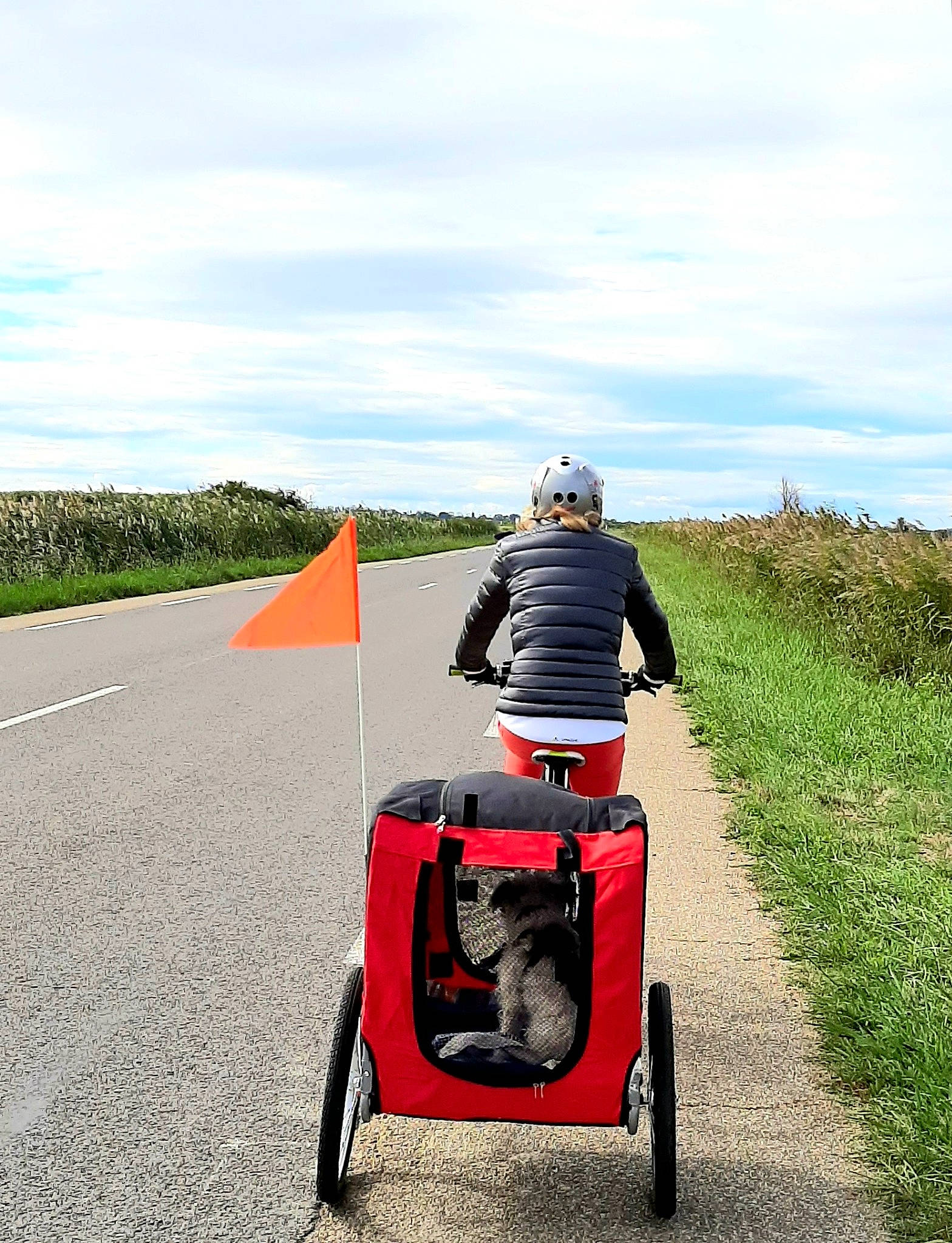 Horace participe au concours pour gagner de l'argent avec cette photo : asphalt, automotive_design, automotive_exterior, automotive_lighting, automotive_tire, bicycle_accessory, bicycle_trailer, cloud, fender, grass, grassland, motor_vehicle, plant, road_surface, rolling, sky, tire, travel, vehicle, wheel