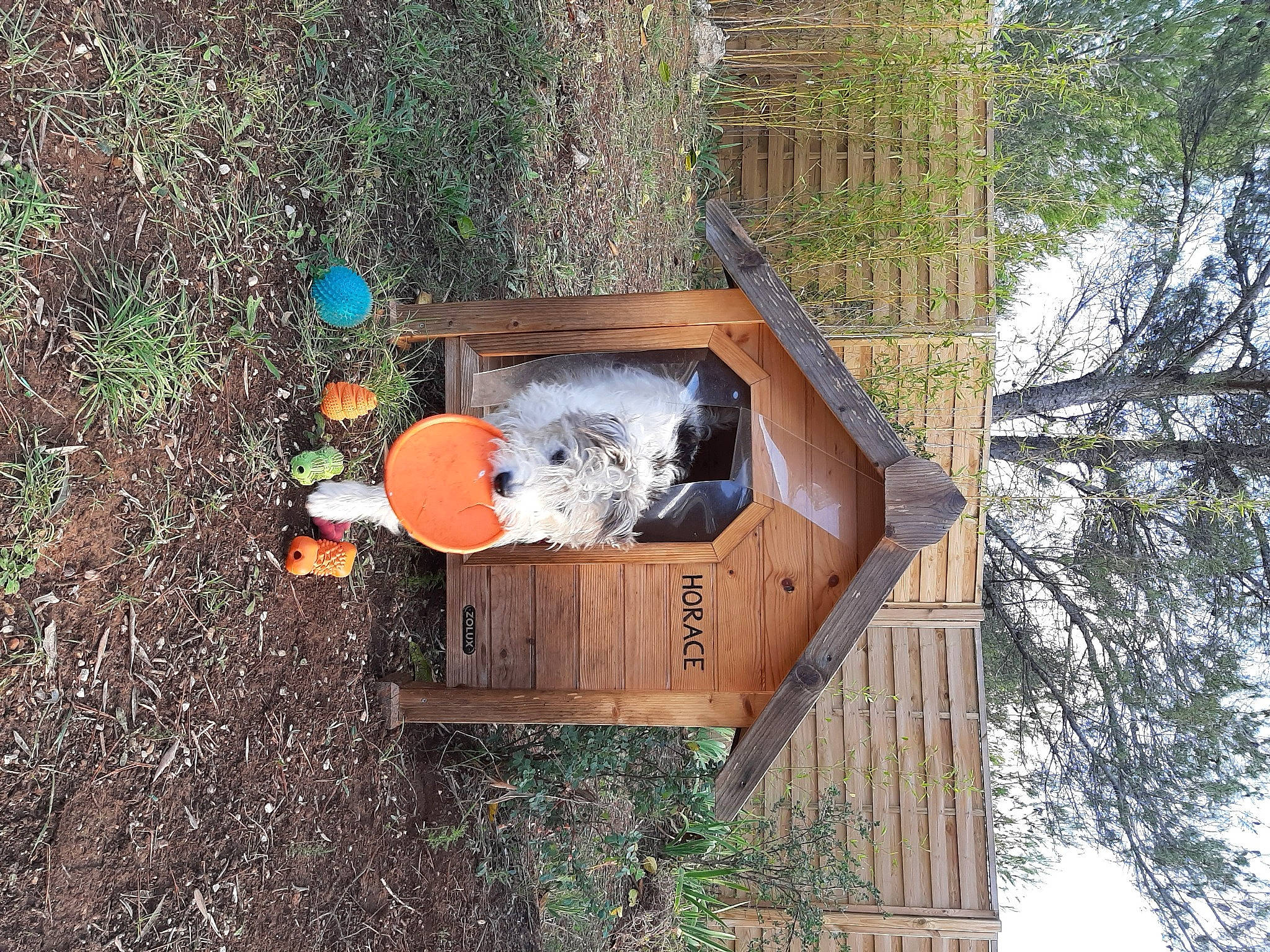 Horace participe au concours pour gagner de l'argent avec cette photo : door, gas, grass, hardwood, house, landscape, natural_material, plant, soil, transport, tree, trunk, window, wood, wood_stain, woody_plant