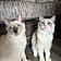 Betsy And Bailey