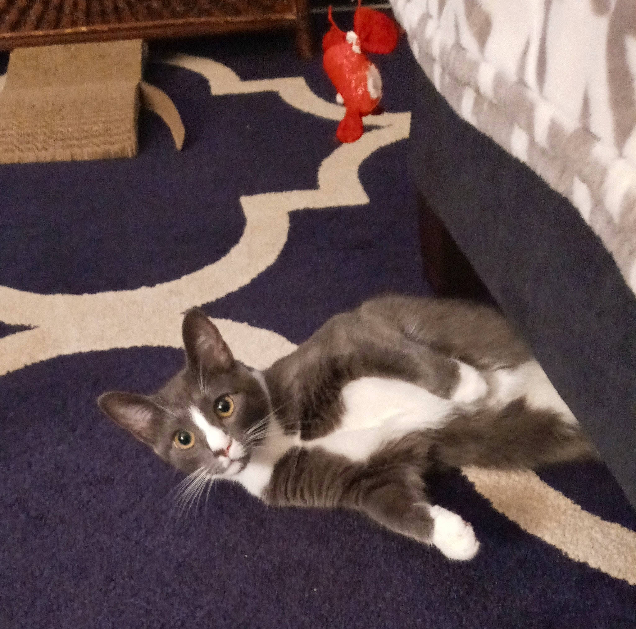 Sylvee