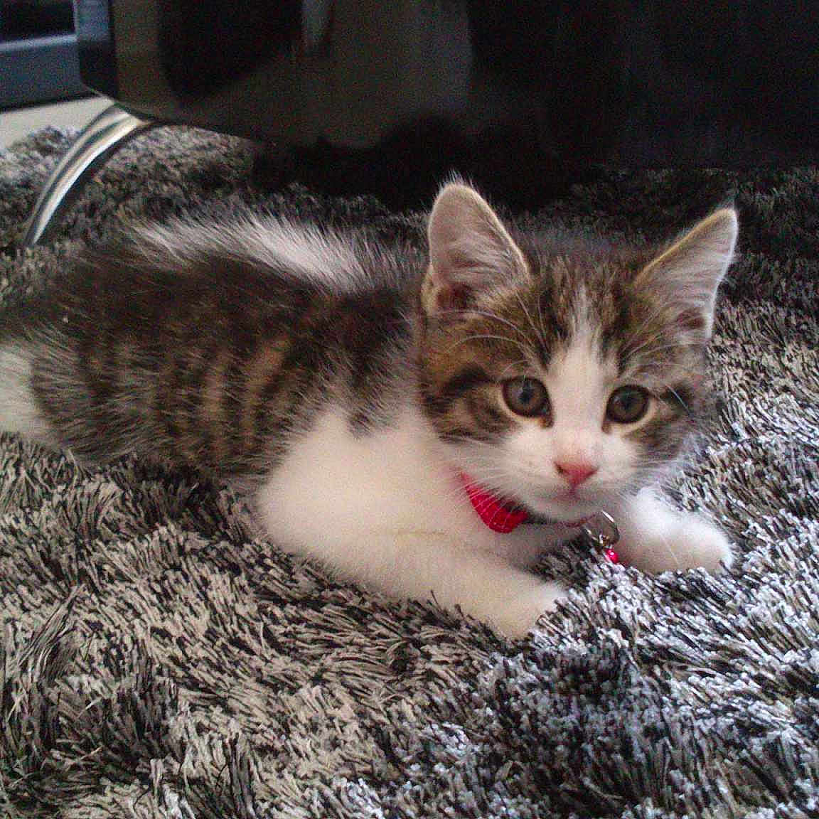 Eden participe au concours pour gagner de l'argent avec cette photo :