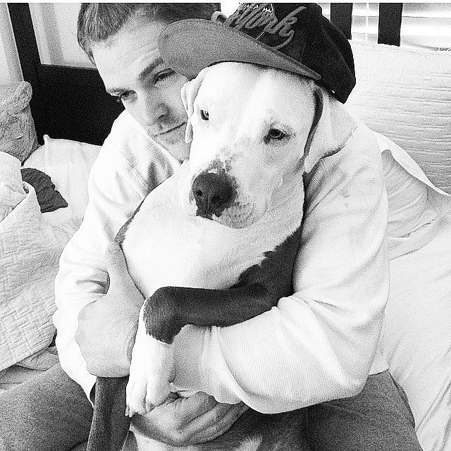 Mickey is registered to the contest to win money with this photo: american_staffordshire_terrier, black_and_white, canidae, carnivore, child, companion_dog, dog, dog_breed, dogo_argentino, ear, guard_dog, love, mammal, non_sporting_group, pit_bull, puppy, puppy_love, rare_breed_dog, smile, vertebrate