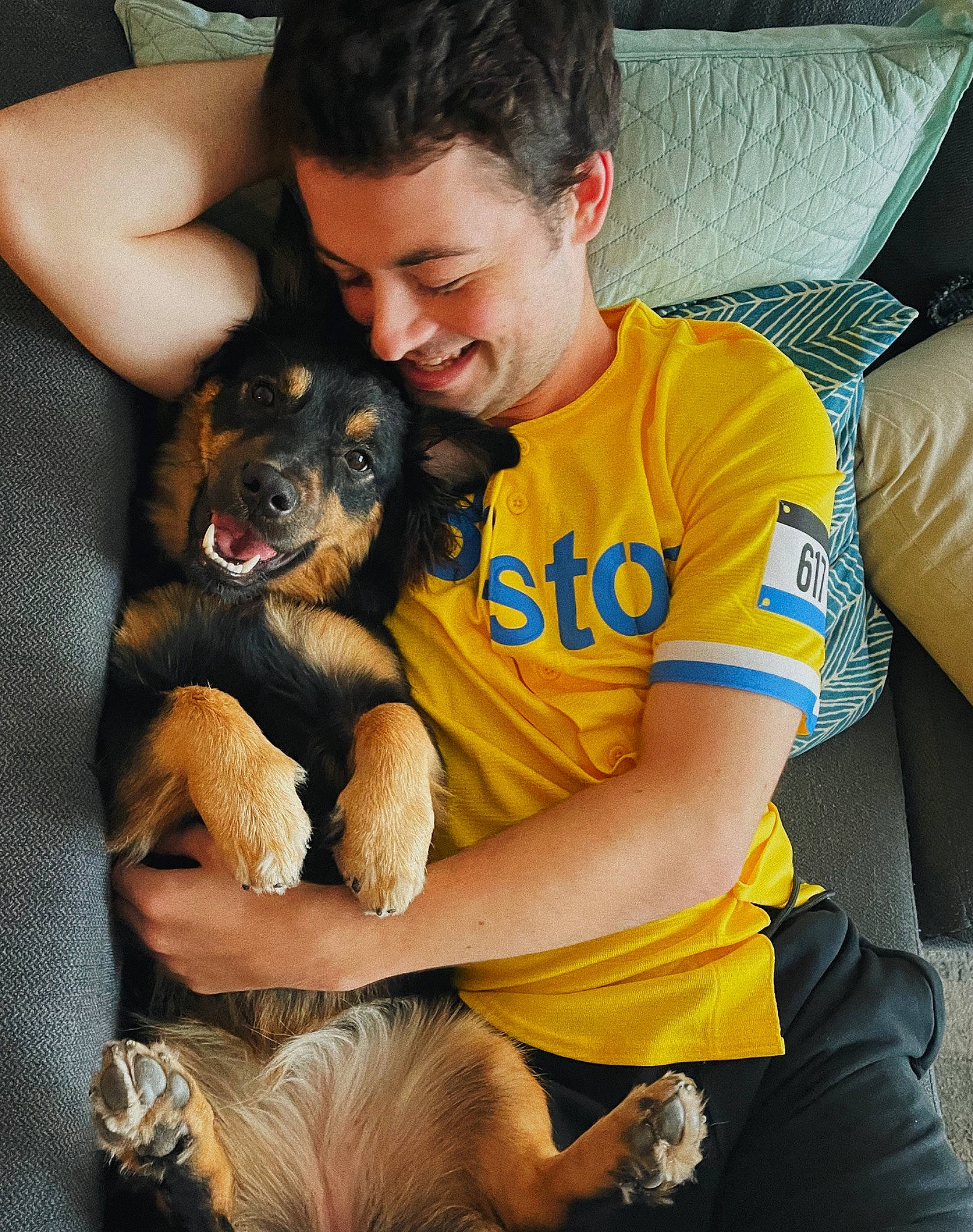 Ginny joined the competition — help win amazing prizes! black_hair, canidae, carnivore, comfort, companion_dog, couch, dog, dog_breed, ear, fawn, fur, happy, lap, mammal, sitting, smile, sporting_group, t_shirt, thigh, toy_dog