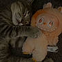 Aslan joined the competition — help win amazing prizes! adorable, animal, carpet, cat, cozy, cute, furry, hugging, indoors, kitten, monster_toy, paws, pet, plush_toy, resting, sleeping, snuggling, soft_toy, tabby, whiskers