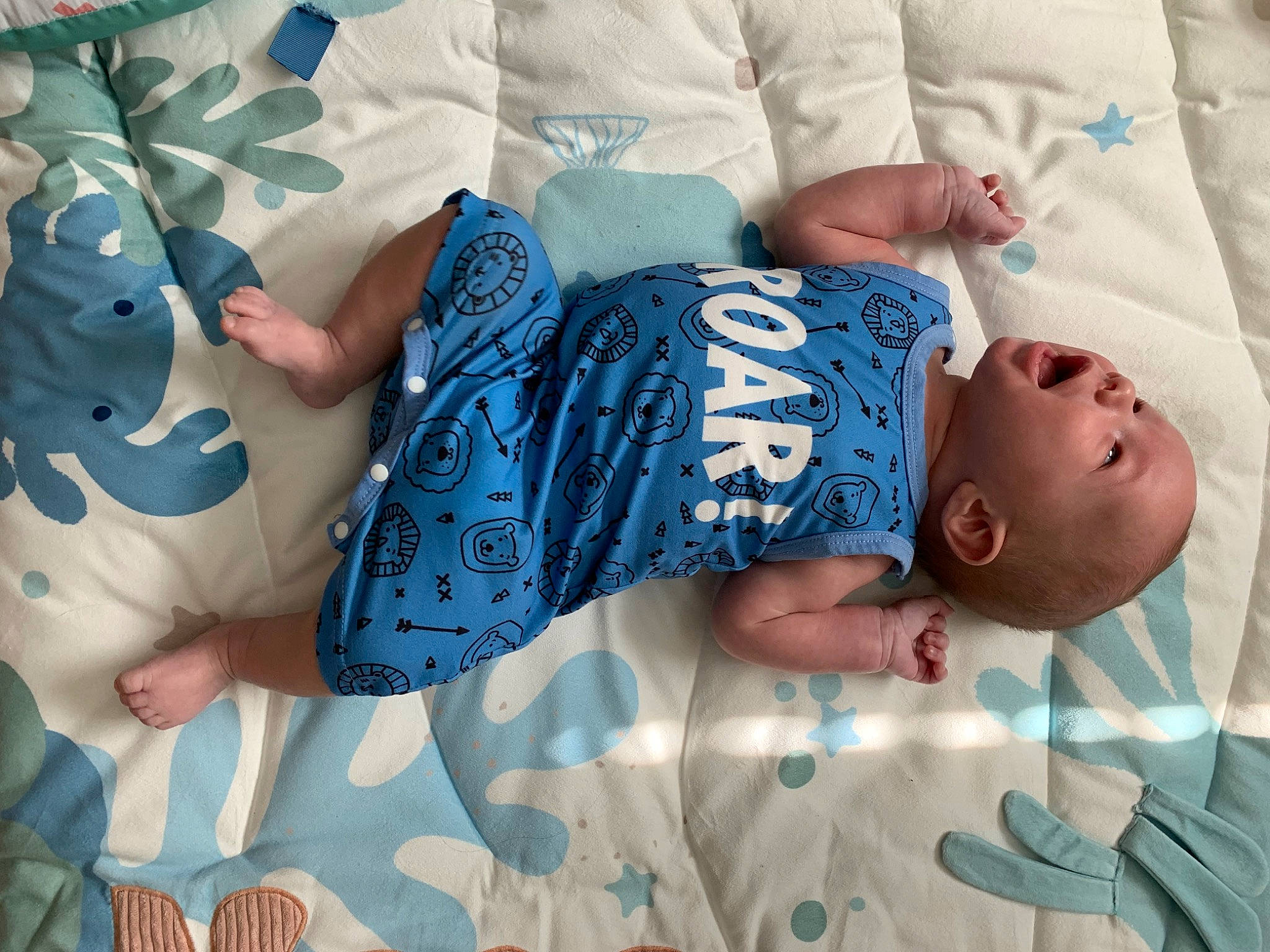 Dexter is registered to the contest to win money with this photo: arm, azure, baby, baby_sleeping, baby_toddler_clothing, blue, child, comfort, elbow, finger, hand, human_body, leg, linens, nail, pattern, person, sleeve, textile, toddler
