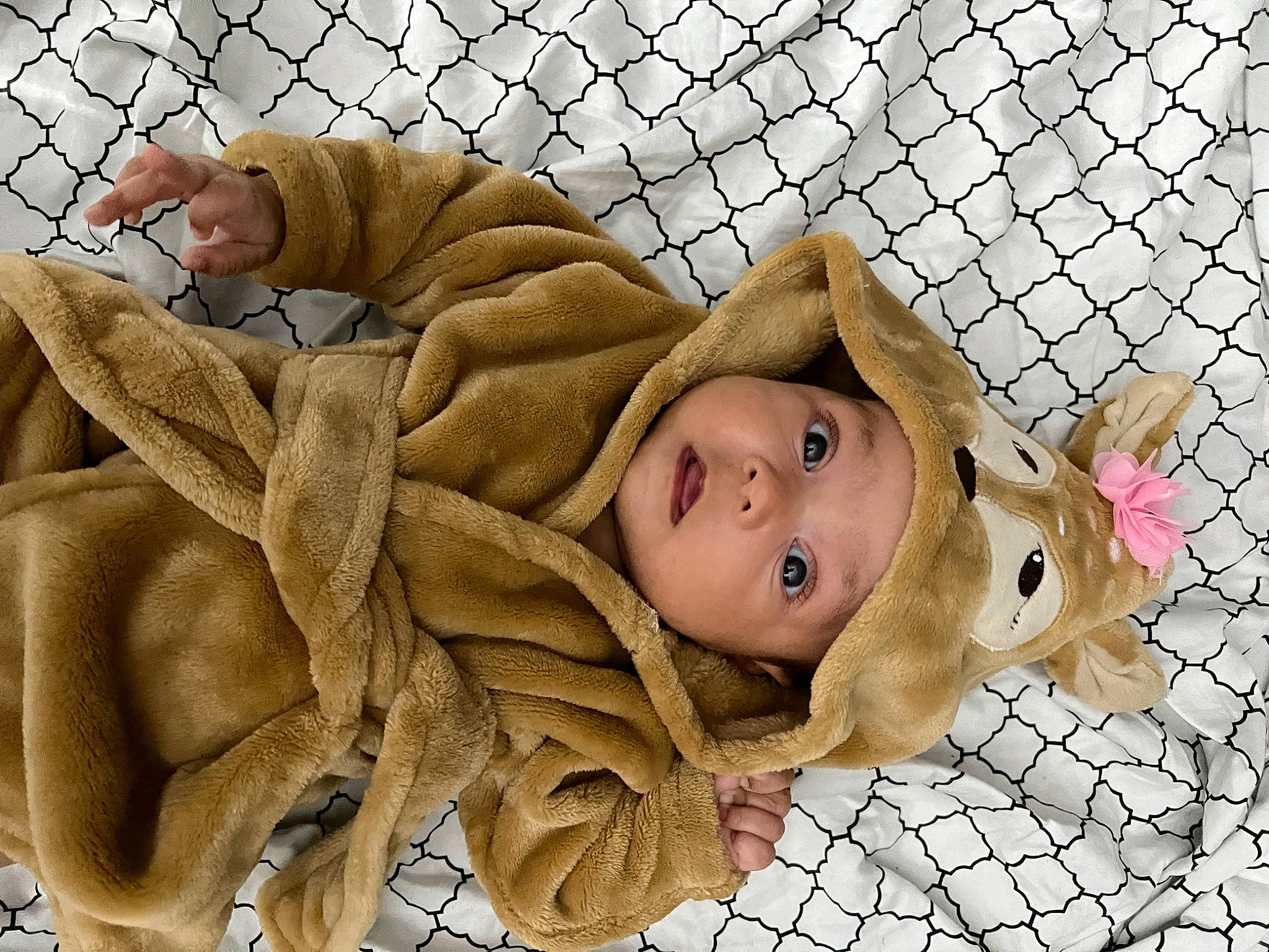 Rosalía joined the competition — help win amazing prizes! baby, baby_products, baby_safety, baby_sleeping, baby_toddler_clothing, cheek, child, comfort, fawn, fur, happy, headwear, linens, mesh, pattern, person, smile, textile, thumb, toddler