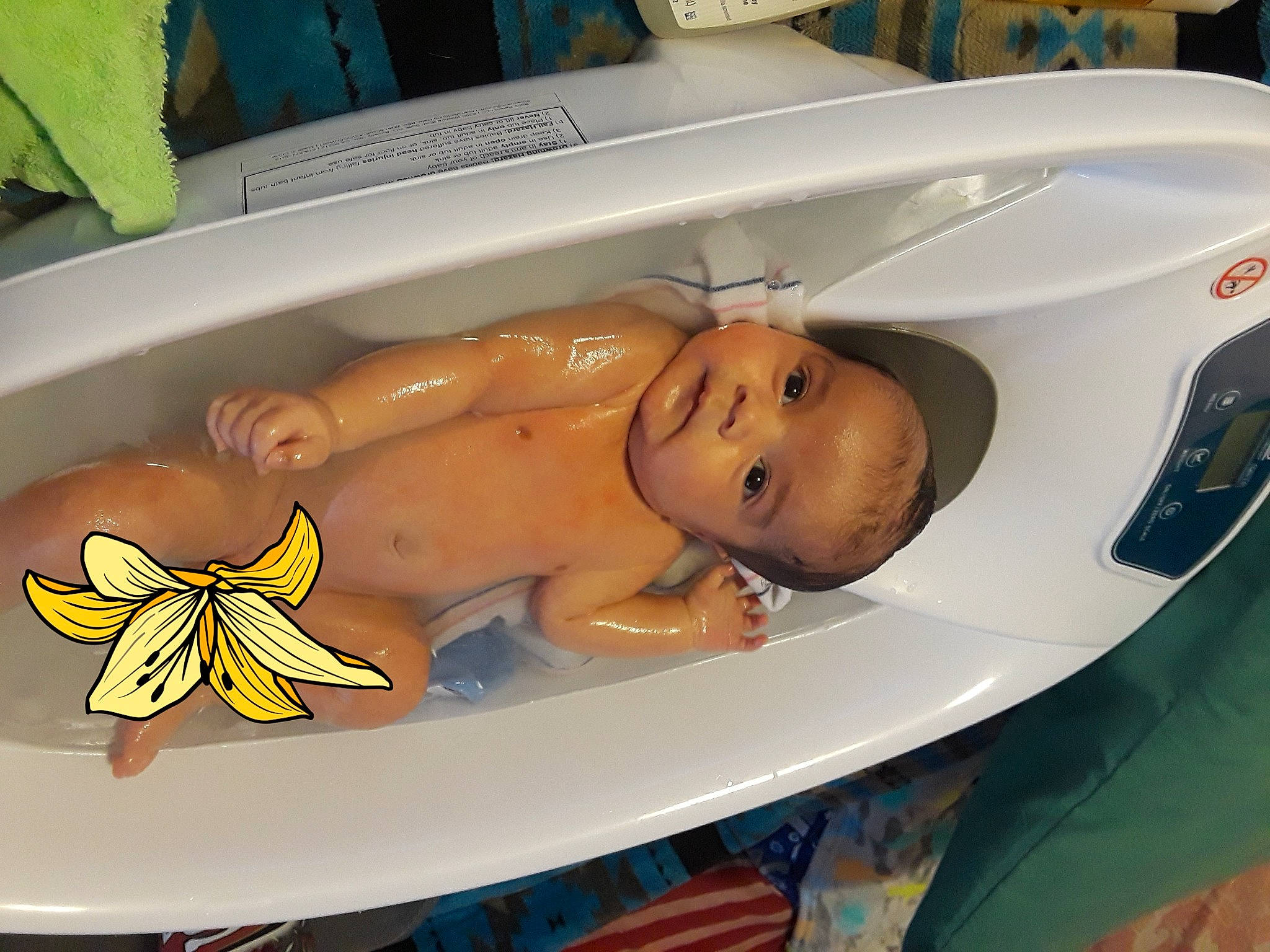 Pierce joined the competition — help win amazing prizes! arthropod, automotive_design, automotive_exterior, bathing, bumper, chest, child, comfort, hat, hood, insect, pattern, person, personal_luxury_car, petal, plastic, smile, toddler, toy, vehicle_door