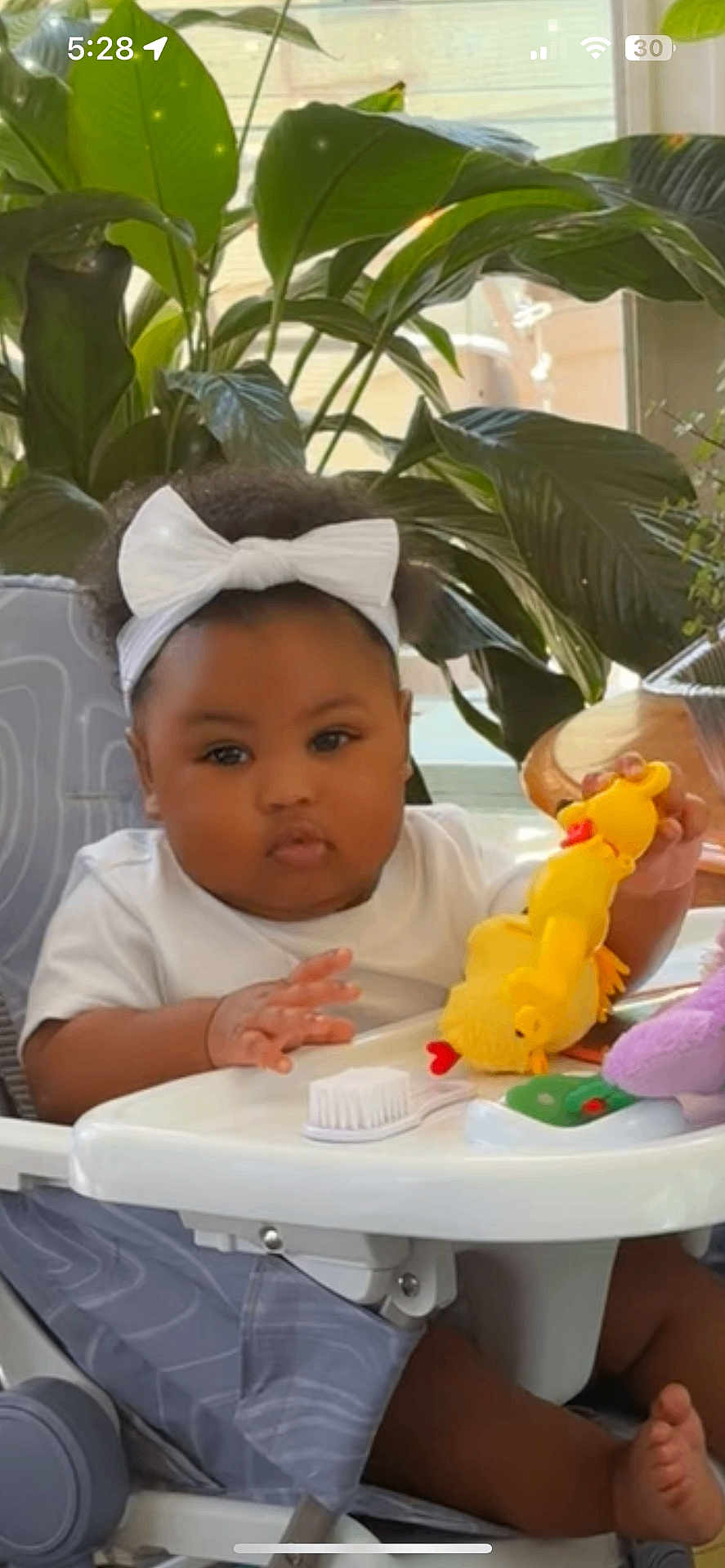 Dalanii is registered to the contest to win money with this photo: baby, child, high_chair, white_bow, toy, yellow_toy, indoor, plants, greenery, curious, infant, headband, furniture, table, hand, foot, cute, person, seated, home