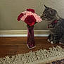 kitten, cat, tabby, collar, flower, carnation, bouquet, vase, purple_vase, wooden_floor, rug, fringe, curious, indoor, pet, animal, wall, floor, domestic, sniffing