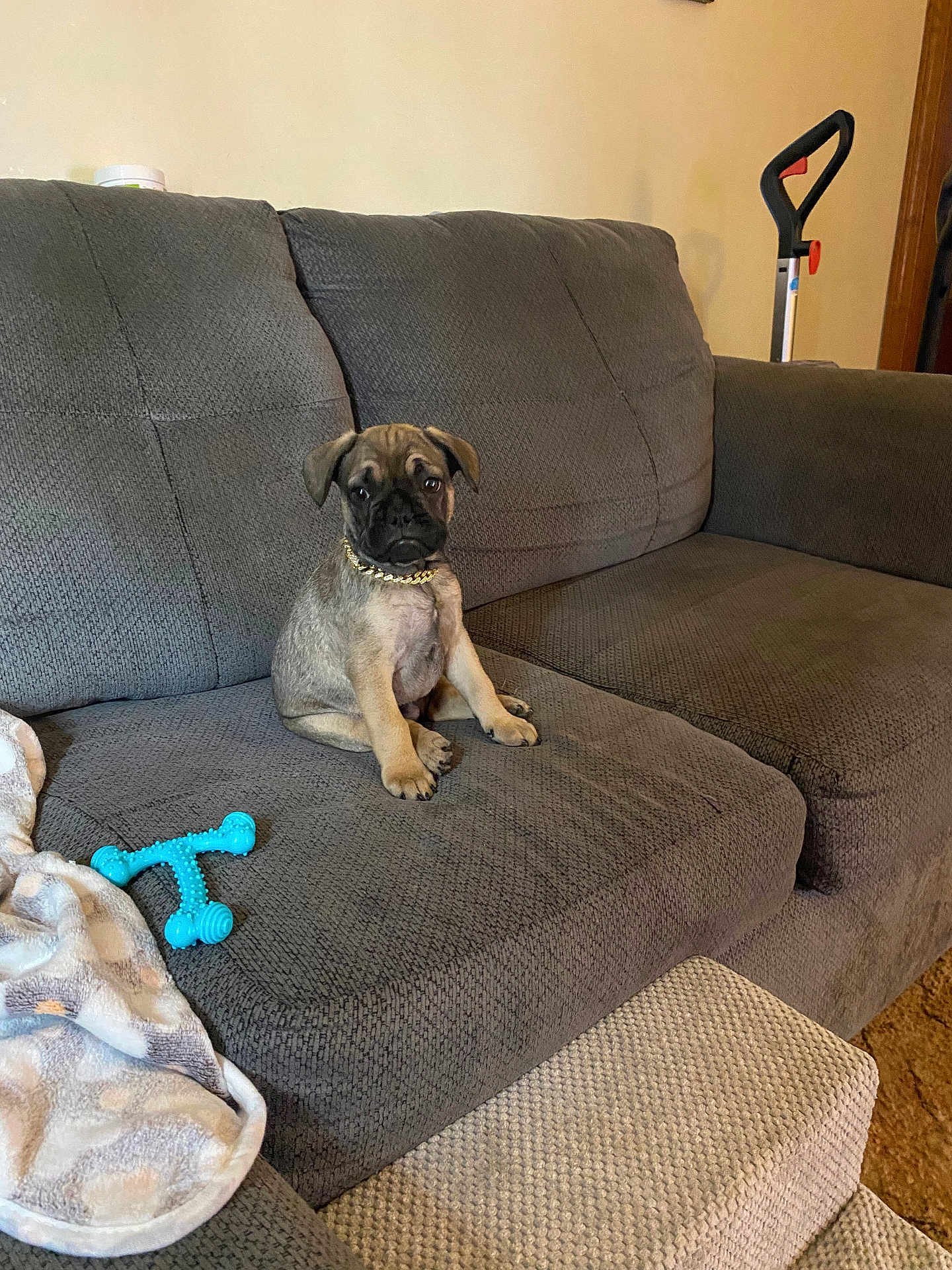 Louie