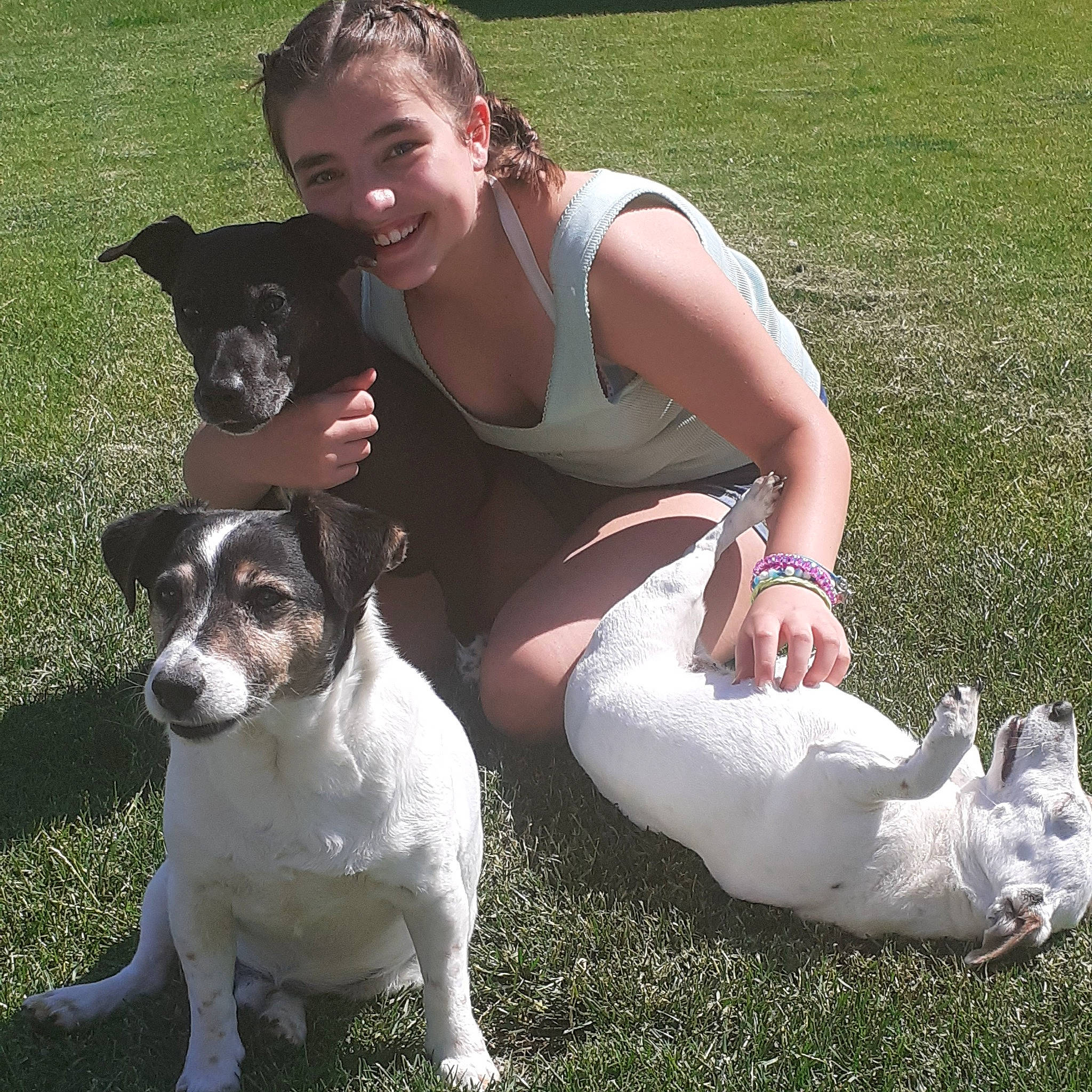 Hugo participe au concours pour gagner de l'argent avec cette photo : canidae, carnivore, chilean_fox_terrier, companion_dog, danish_swedish_farmdog, dog, dog_breed, grass, jack_russell_terrier, japanese_terrier, mammal, miniature_fox_terrier, puppy_love, rat_terrier, ratonero_bodeguero_andaluz, russell_terrier, teddy_roosevelt_terrier, tenterfield_terrier, toy_fox_terrier, vertebrate