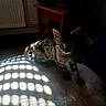 animal, cat, cozy, curious, dark, feline, floor, indoor, kitten, light, pattern, pet, plant, quilt, room, shadow, small, sunlight, tabby, wooden_table
