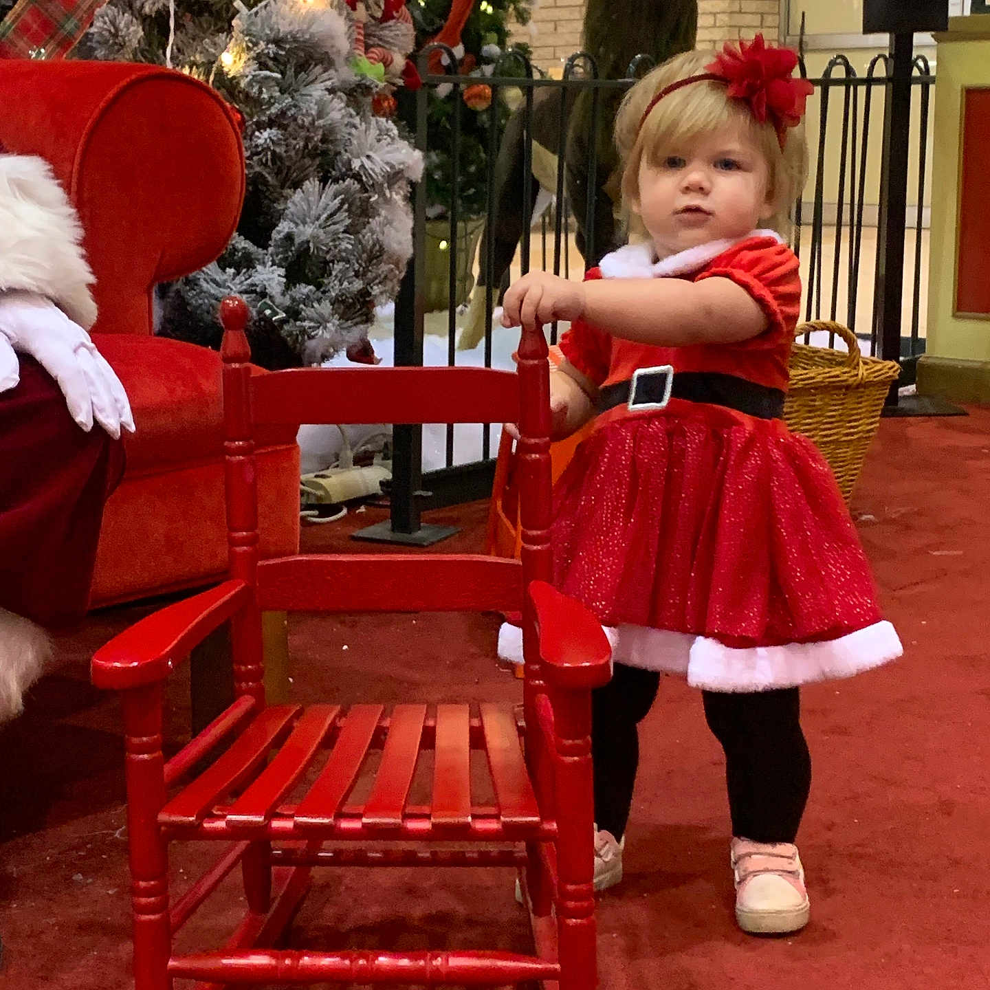 Aarika joined the competition — help win amazing prizes! animal, baby, canine, chair, child, clothing, couch, dress, face, female, footwear, furniture, girl, glove, head, person, photography, portrait, shoe, skirt