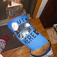 Gunnz is registered to the contest to win money with this photo: animal, back_view, baseball_graphic, blue_shirt, brown_dog, cable, collar, dog, door, floor_mat, footwear, indoor, leash, moon_graphic, person, pet_clothing, plaid_pants, slippers, text_on_shirt, wooden_floor