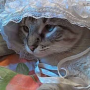 Roary is registered to the contest to win money with this photo: