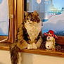 Noukie participe au concours pour gagner de l'argent avec cette photo : animal, cat, christmas, cozy, decoration, festive, fluffy, fur, holiday, indoor, ornament, pet, pinecone, red_hat, scarf, snowman, window, windowsill, winter, wood