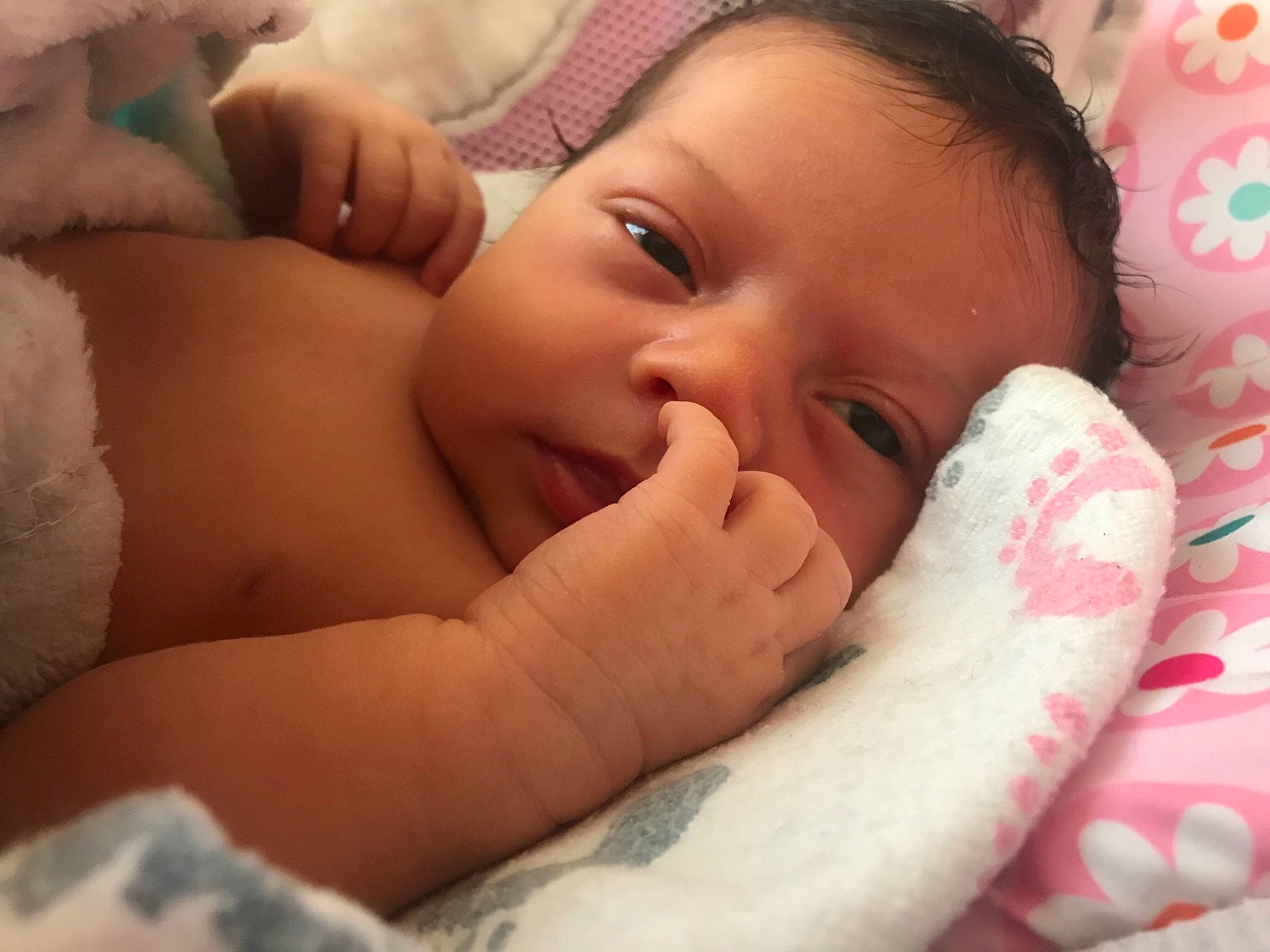 Khalessi joined the competition — help win amazing prizes! baby, baby_sleeping, beauty, bedtime, birth, cheek, child, ear, eye, face, head, lip, mouth, nap, nose, person, skin, sleep, smile, toddler