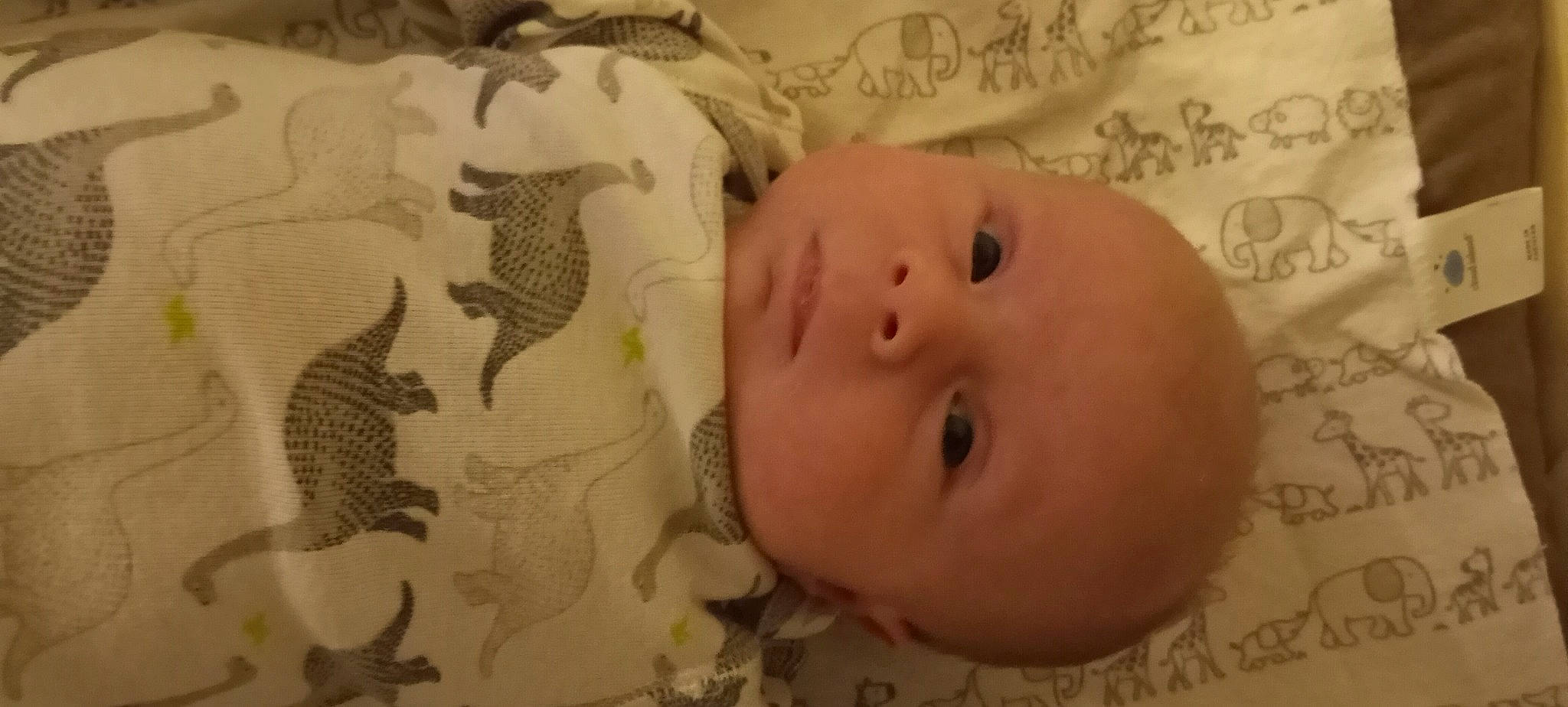 Tanner joined the competition — help win amazing prizes! baby, baby_safety, baby_toddler_clothing, beauty, cheek, chin, eye, eyebrow, eyelash, facial_expression, human, iris, lip, mammal, mouth, nose, organism, person, product, skin