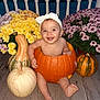 Wrennley is registered to the contest to win money with this photo: baby, pumpkin, flowers, autumn, smile, headband, porch, wooden_floor, gourd, orange, yellow, purple, plant, child, cute, happy, nature, seasonal, outdoor, decoration