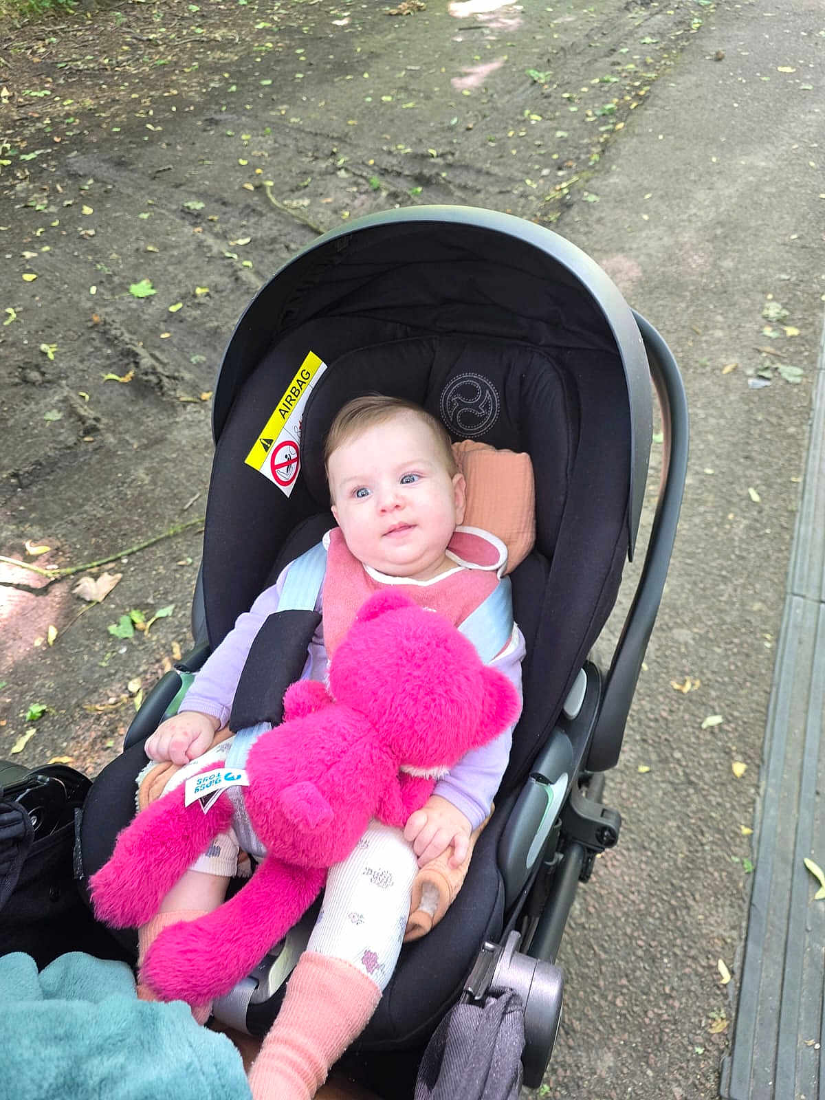 Amelia participe au concours pour gagner de l'argent avec cette photo : baby, stroller, plush_toy, outdoor, child, pink, toy, infant, seat, park, comfort, clothing, cute, soft_toy, expression, person, walking_path, nature, safety_belt, head_support