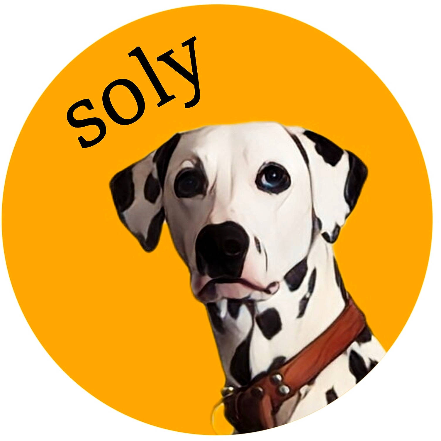 Soly a rejoint le concours — aidez-le/la à gagner de superbes lots ! brand, carnivore, circle, companion_dog, dog, dog_breed, dog_supply, fawn, font, graphics, illustration, logo, personal_protective_equipment, pet_supply, rectangle, snout, soccer_ball, sporting_group, whiskers, working_animal