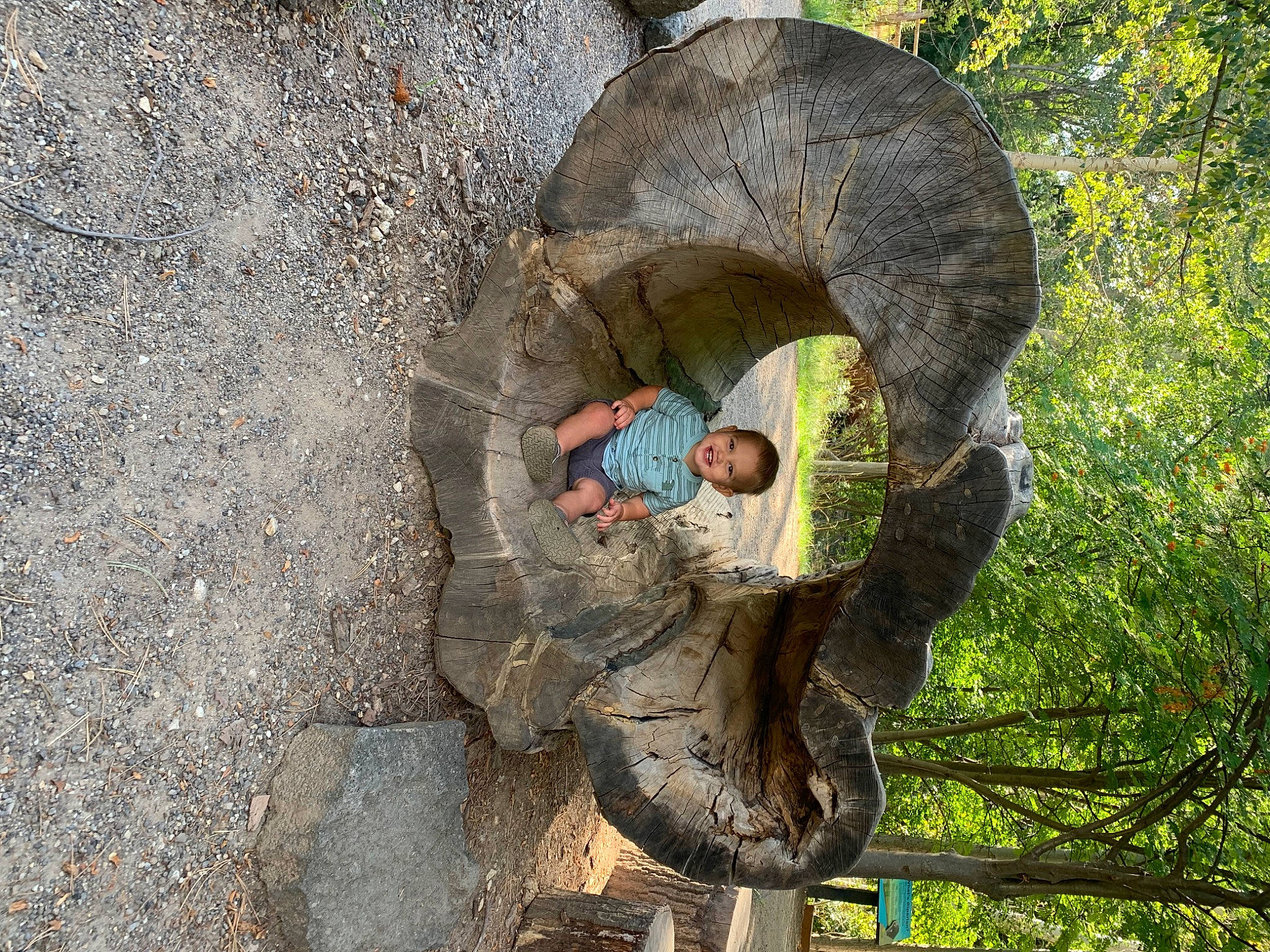 Chase joined the competition — help win amazing prizes! arch, automotive_tire, automotive_wheel_system, bedrock, circle, forest, grass, hat, joy, jungle, organism, people_in_nature, person, plant, recreation, rock, soil, terrestrial_plant, tree, trunk