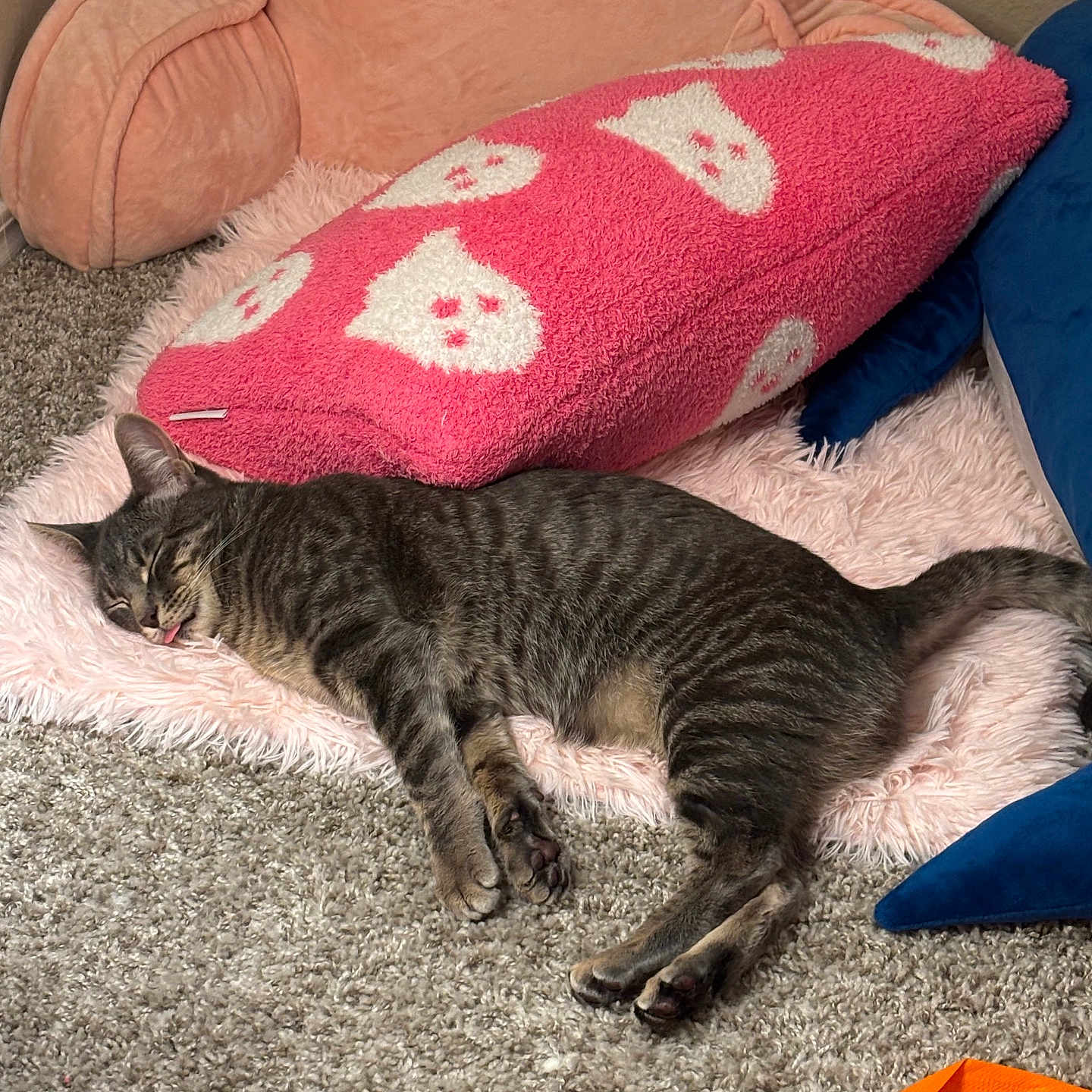 Chimichanga is registered to the contest to win money with this photo: animal, carpet, cat, cozy, cute, floor, furniture, ghost_pattern, home, indoor, peach_chair, pet, pink_pillow, pink_rug, relaxing, resting, sleeping, soft_texture, tabby_cat, tongue_out