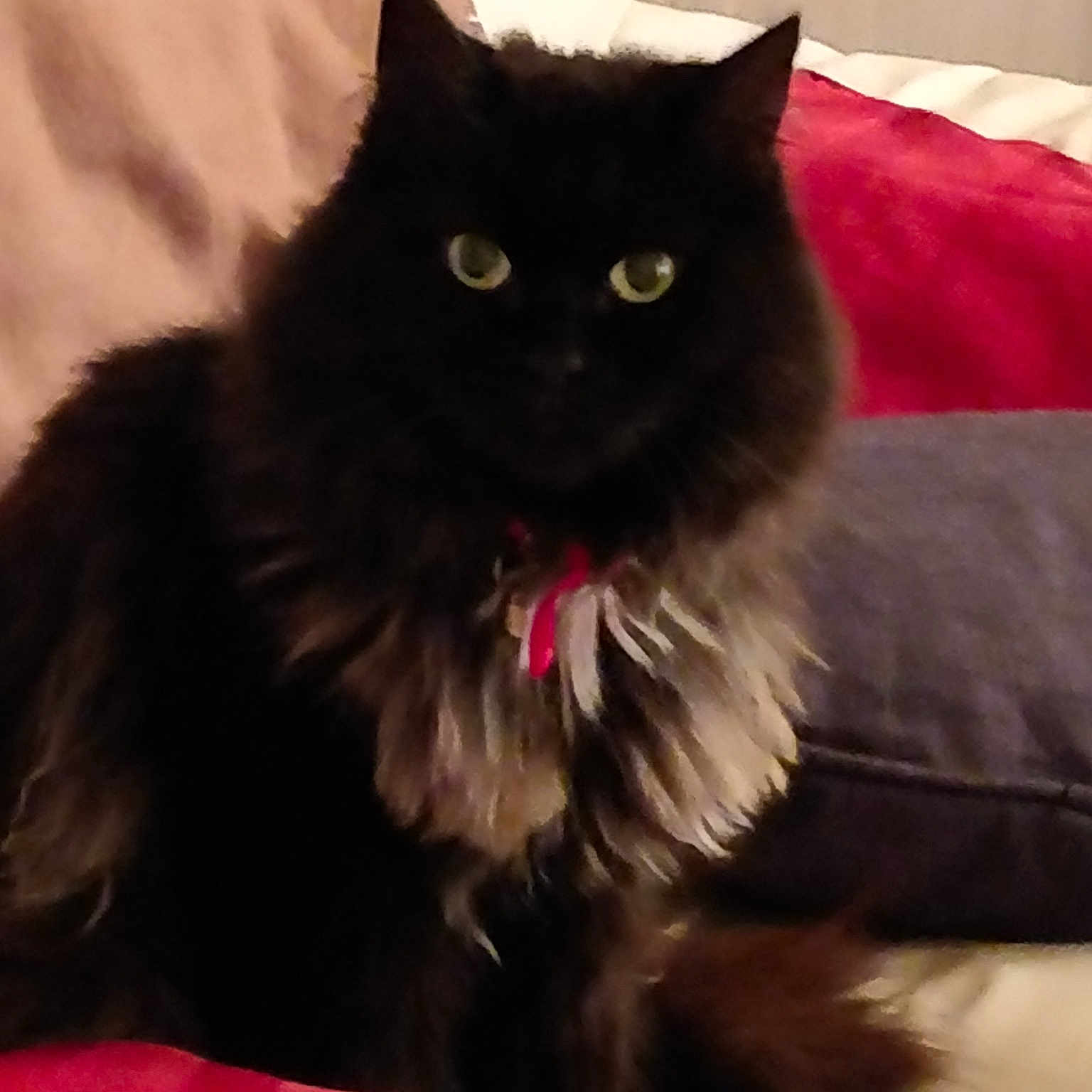 Eléana