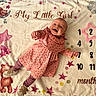 baby, child, smile, pink_dress, tights, shoes, blanket, stars, balloons, teddy_bear, clouds, numbers, months, celebration, milestone, happy, portrait, cute, infant, lying_down