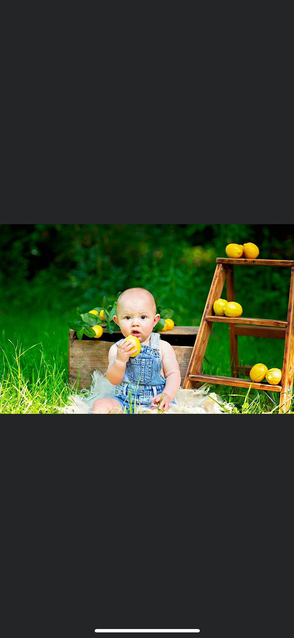 Jaxson joined the competition — help win amazing prizes! baby, baby_products, baby_toddler_clothing, child, flash_photography, flower, fun, garden, grass, happy, landscape, leisure, people_in_nature, person, plant, play, recreation, sitting, toddler, toy