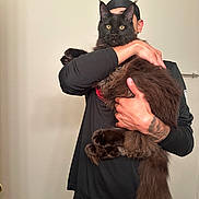 Grim is registered to the contest to win money with this photo: person, cat, black_cat, fluffy_cat, indoor, holding, tattoo, long_tail, black_clothing, head_covering, hand, yellow_eyes, funny_pose, wall, door, floor, real_photo, pet, animal, portrait
