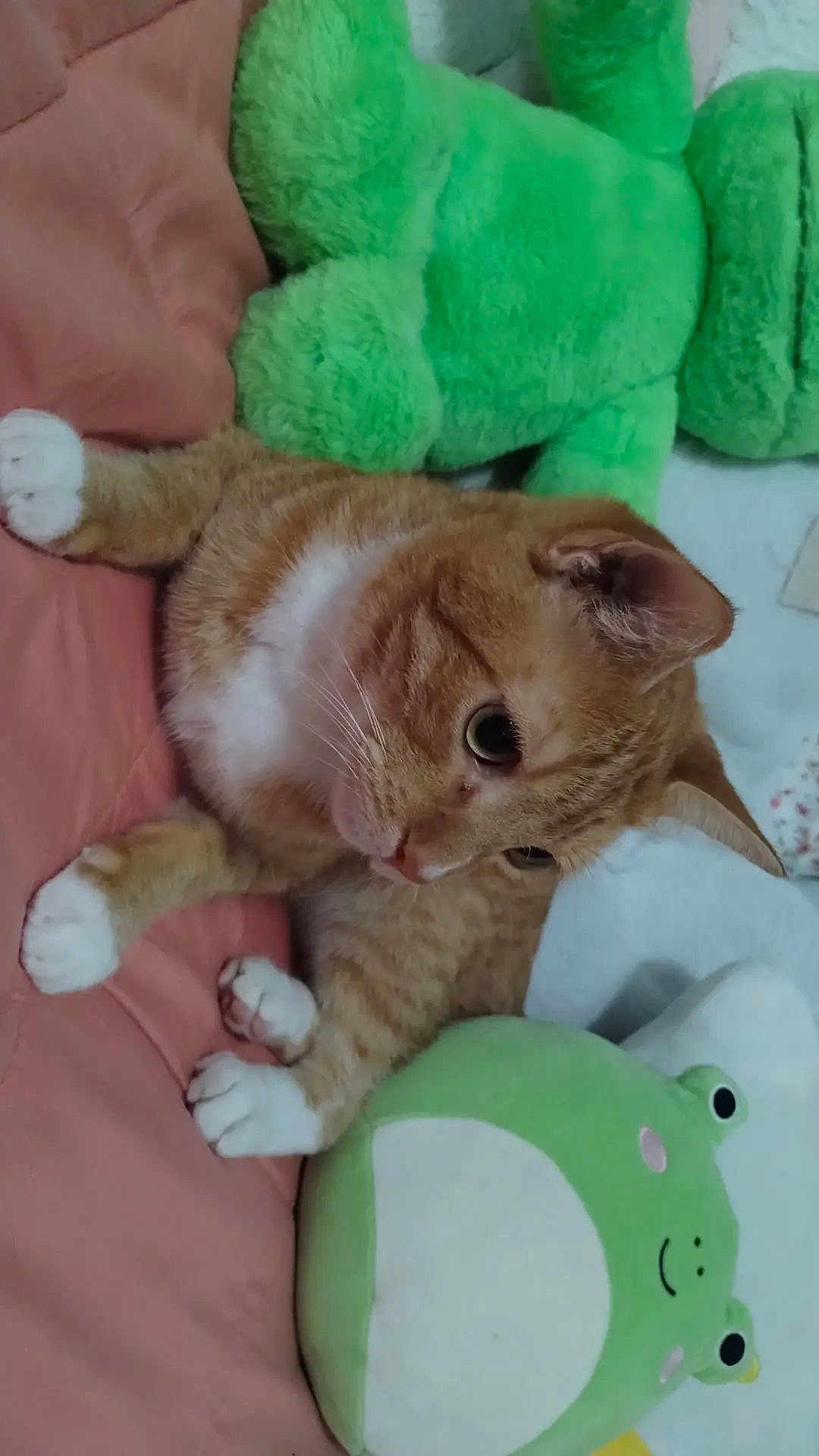 Jinkx